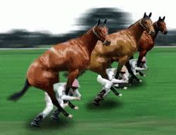 Funny Horse Race GIFs .